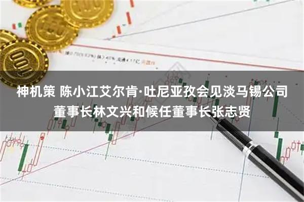 神机策 陈小江艾尔肯·吐尼亚孜会见淡马锡公司董事长林文兴和候任董事长张志贤