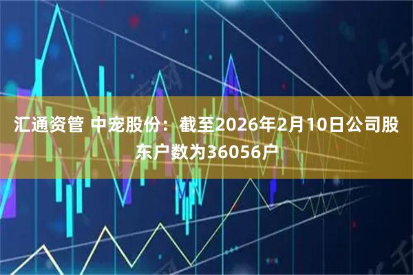 汇通资管 中宠股份：截至2026年2月10日公司股东户数为36056户